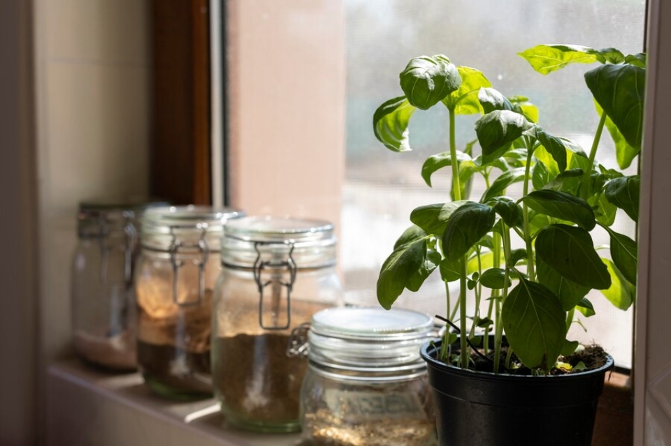 Include Plants and Greenery In Glass Cabinets