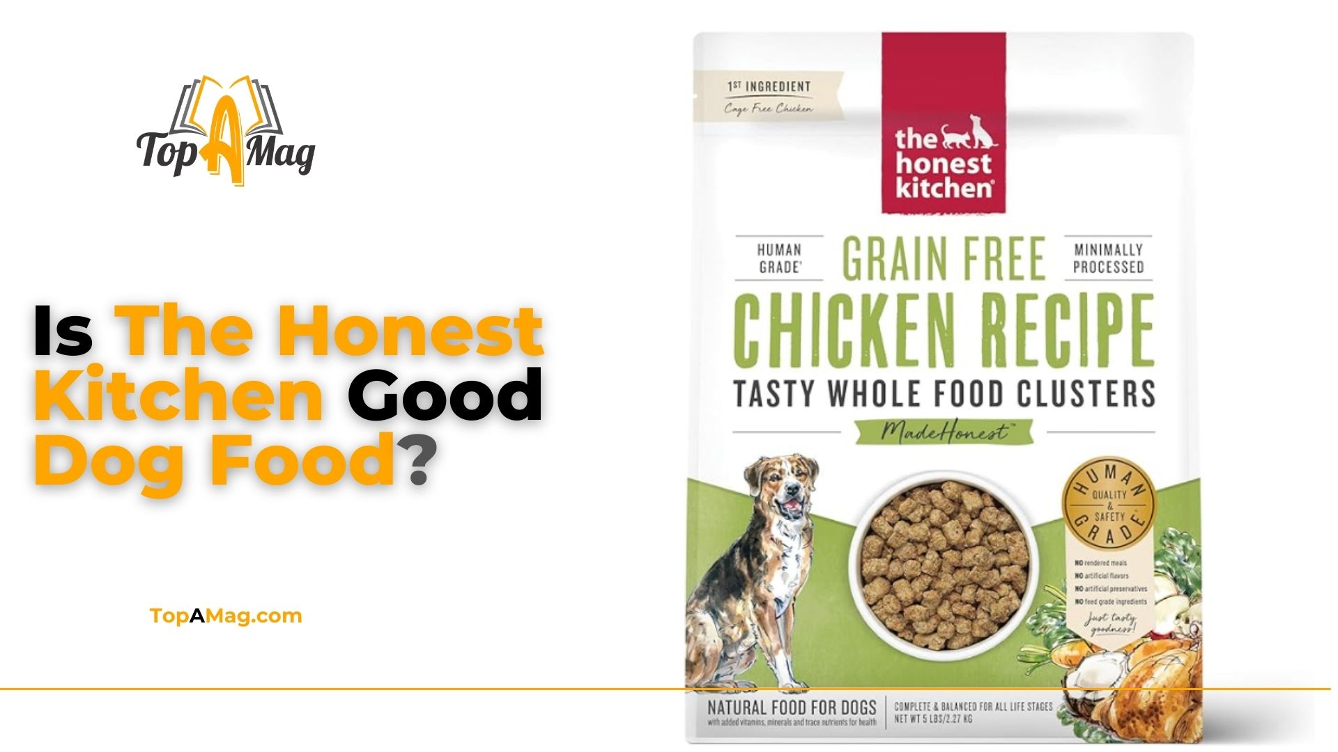 Is The Honest Kitchen Good Dog Food