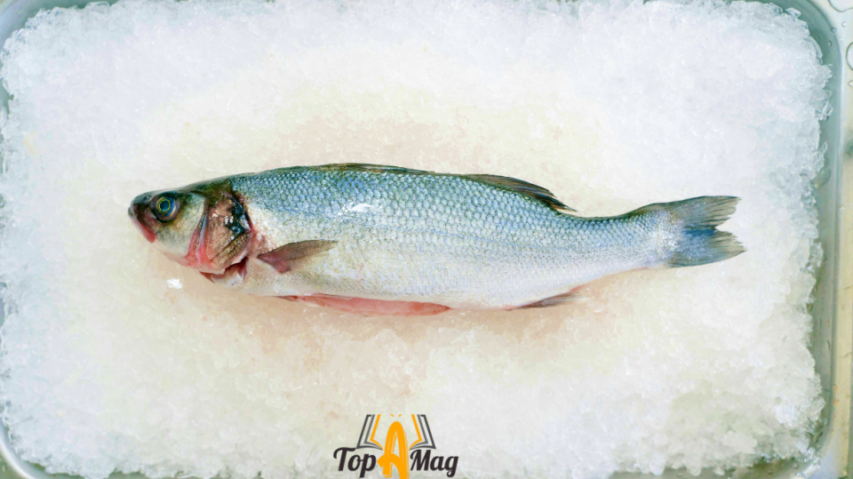 Culinary Techniques for Cooking Branzino