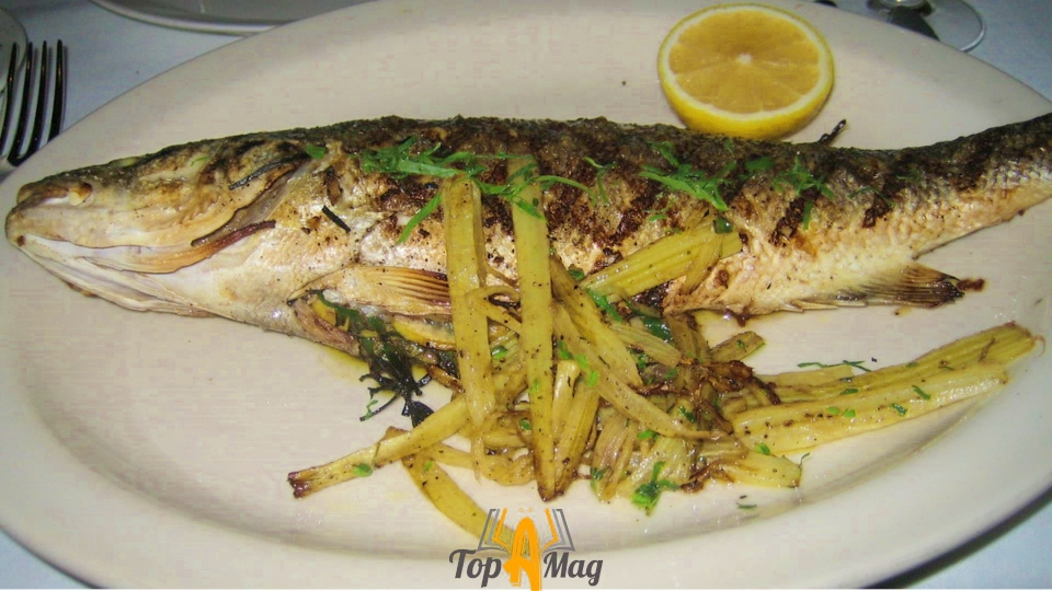 Sustainability and Branzino Fish