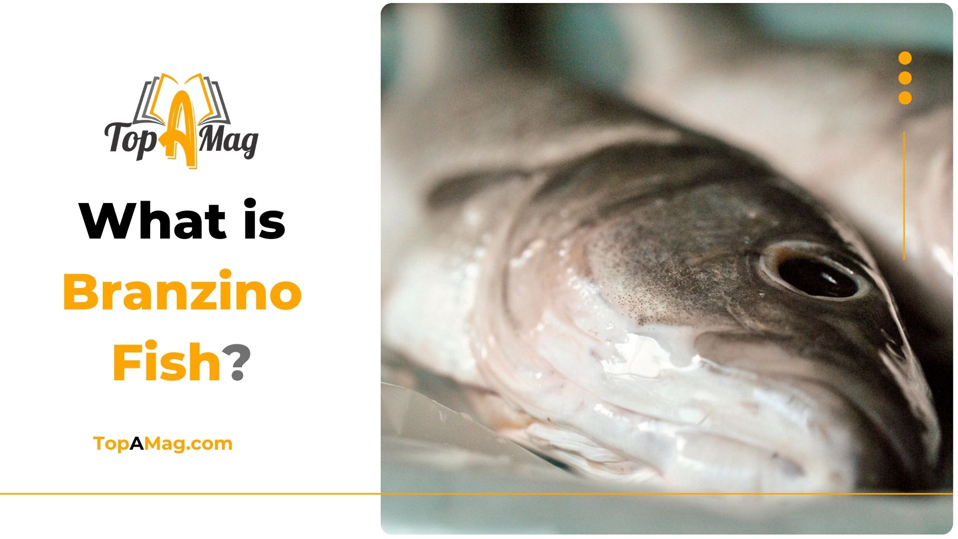 What is Branzino Fish