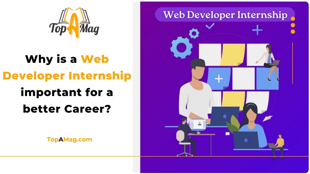 Why is a Web Developer Internship important for a better Career